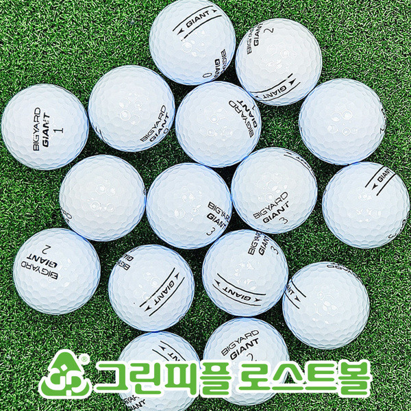 그린피플,빅야드 고반발 GIANT 3피스 B+급 로스트볼 16개